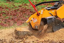 Lawn Pest Prevention in Paxtonia, PA