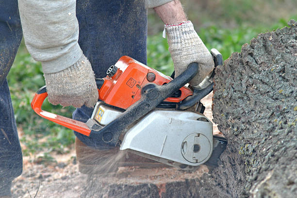 Best Lawn Maintenance Plans  in Xtonia, PA